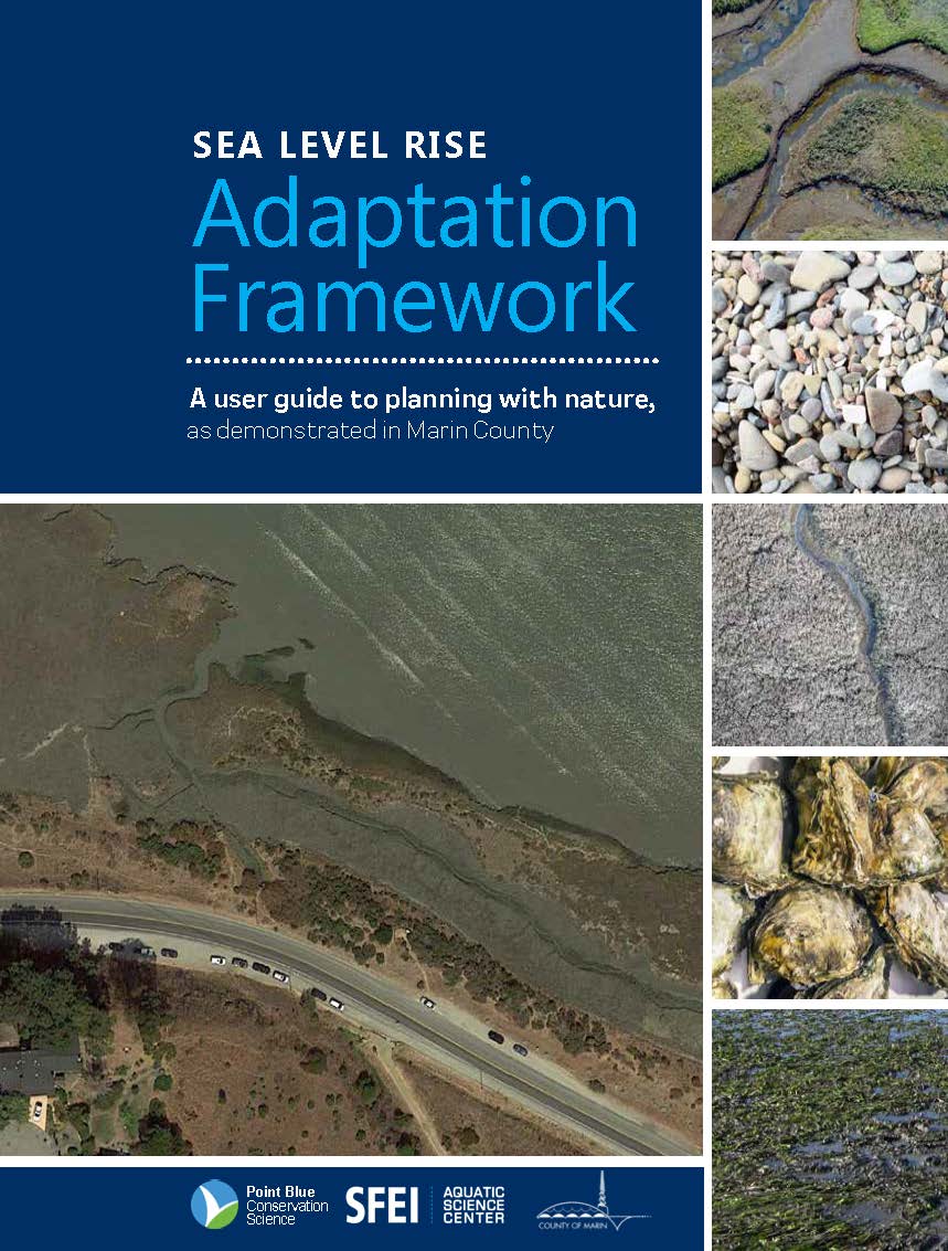 Sea Level Rise Adaptation Framework Point Blue